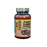 Japan Reishi Mushroom - Enhancing Your Wellness